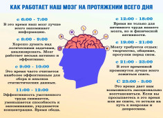 Всемирный день мозга 1