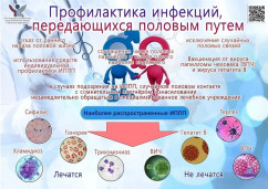 О профилактике инфекций ППП 2